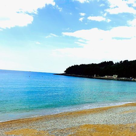 Philoxenia Guest House Himarë Dış mekan fotoğraf