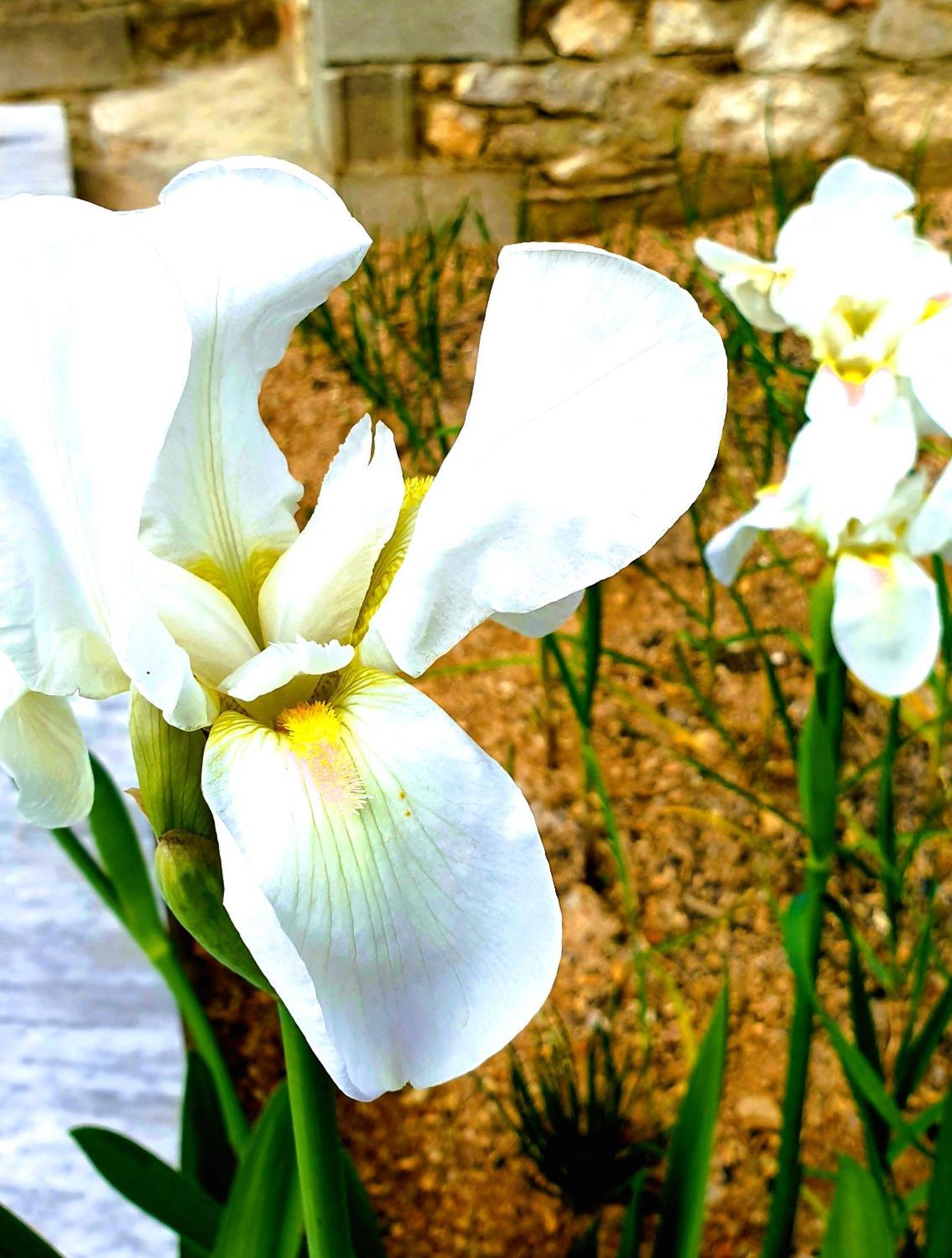 Philoxenia Guest House Himarë Dış mekan fotoğraf