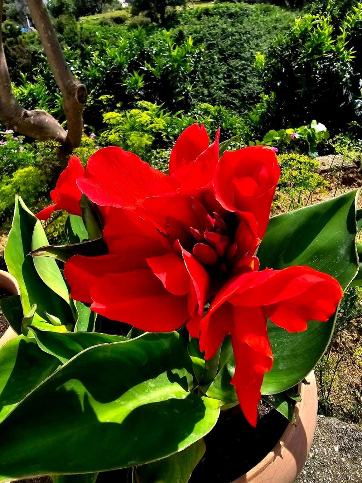 Philoxenia Guest House Himarë Dış mekan fotoğraf
