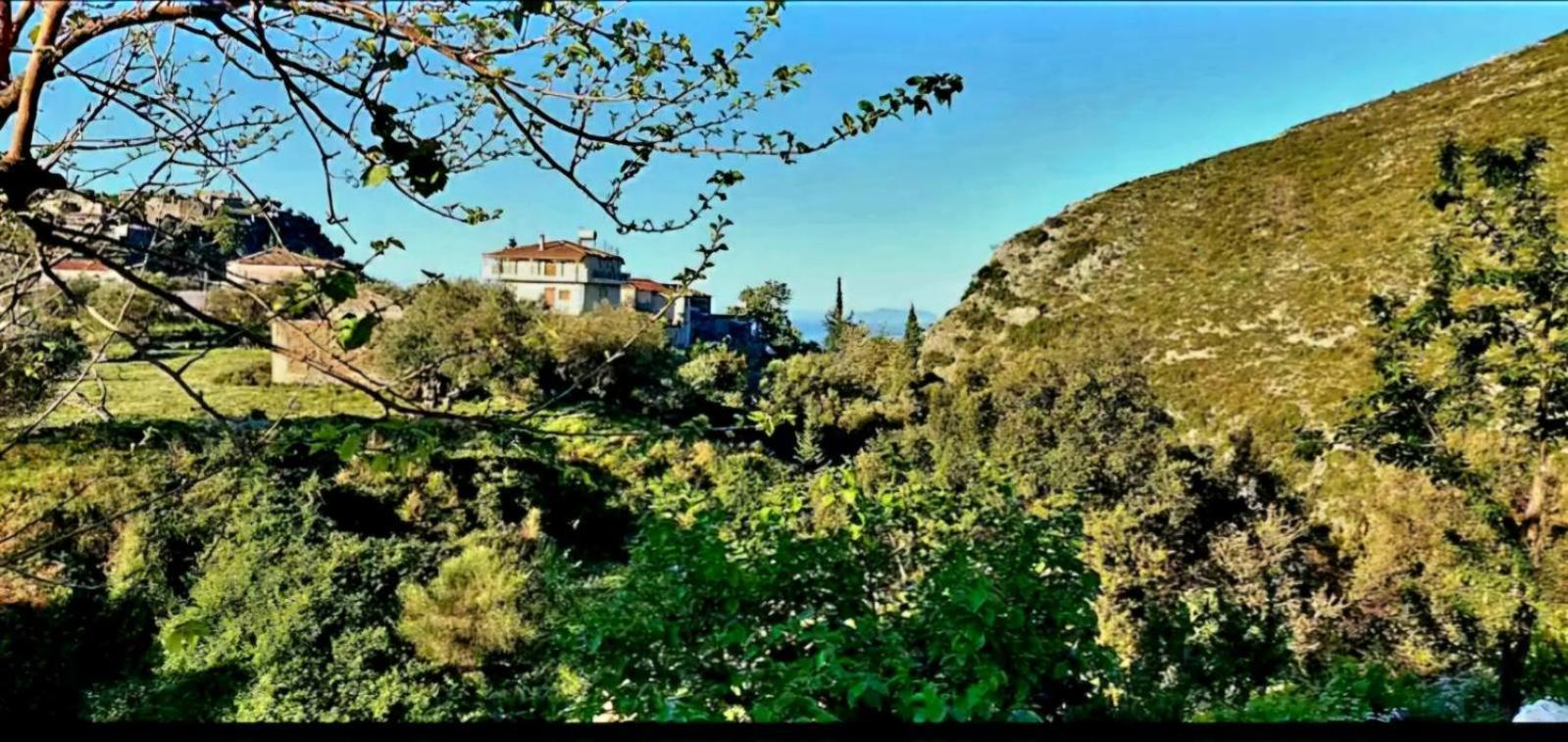 Philoxenia Guest House Himarë Dış mekan fotoğraf