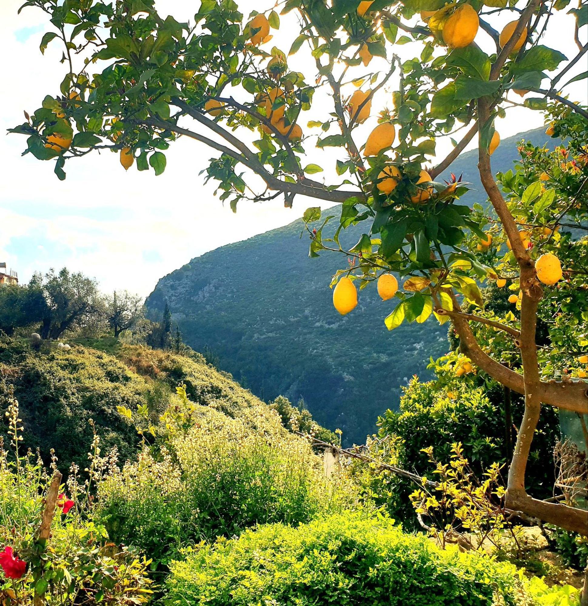Philoxenia Guest House Himarë Dış mekan fotoğraf