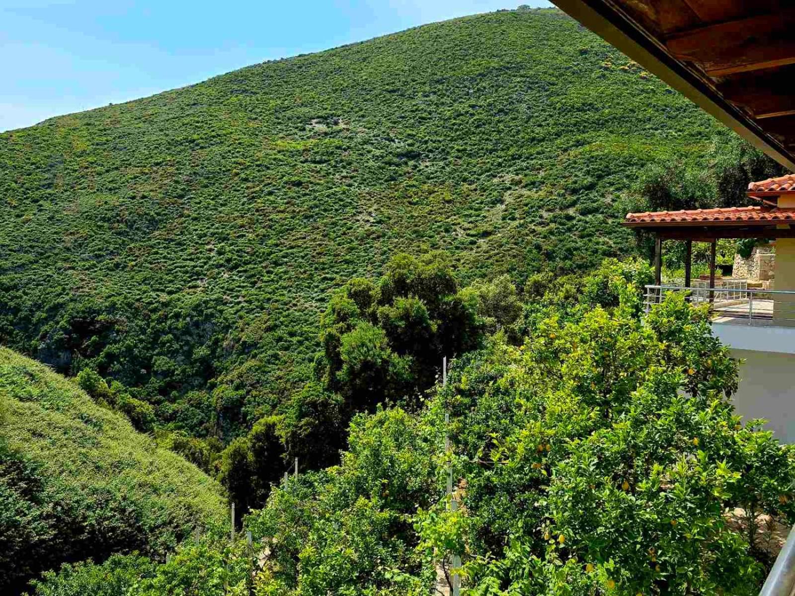 Philoxenia Guest House Himarë Dış mekan fotoğraf