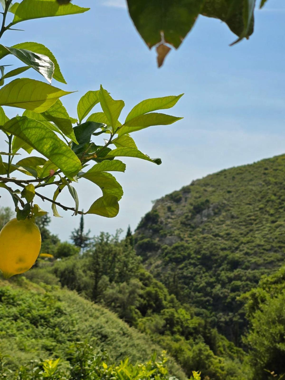 Philoxenia Guest House Himarë Dış mekan fotoğraf