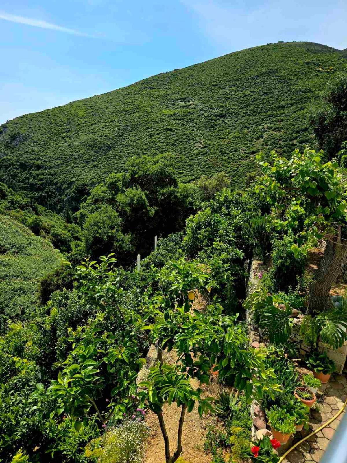 Philoxenia Guest House Himarë Dış mekan fotoğraf